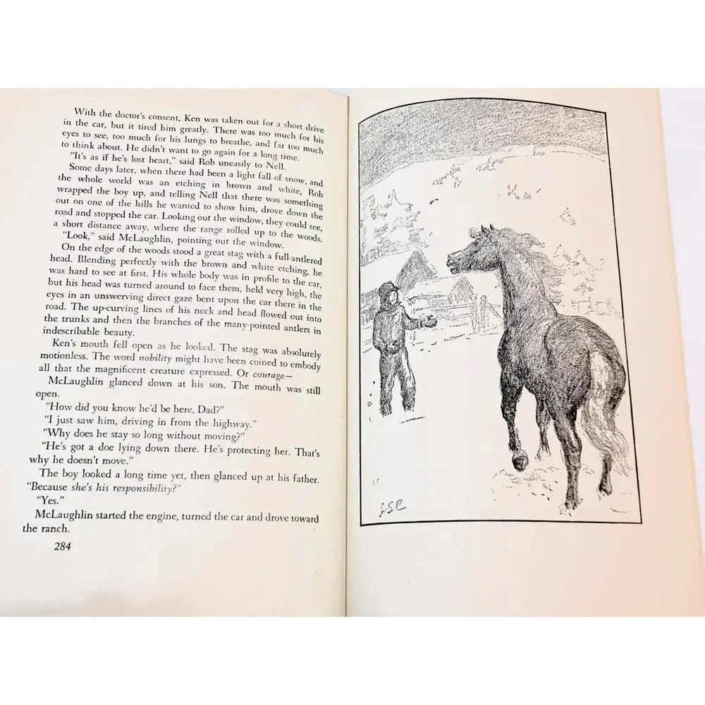 My Friend Flicka by Mary O'Hare (1941 Hardcover w/o DJ)
